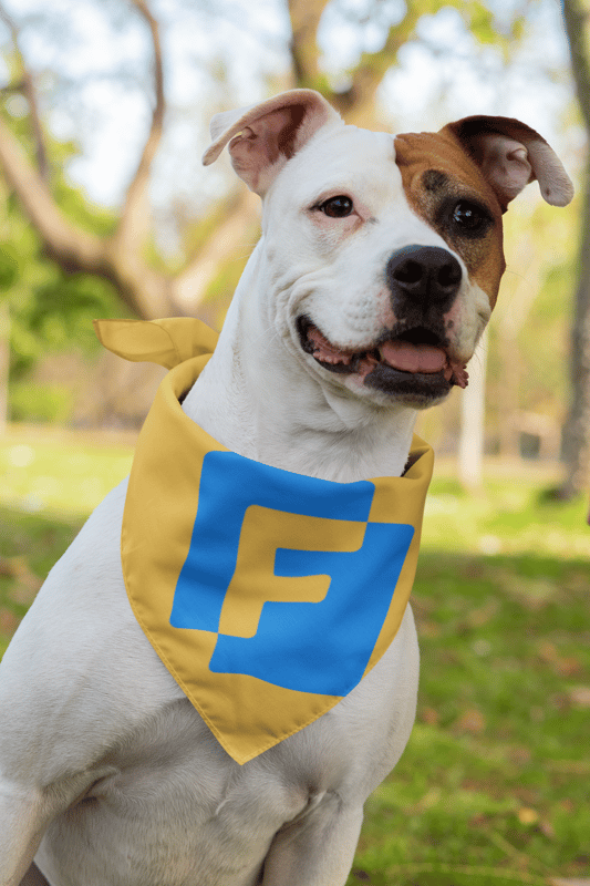 The Pooch Scarf - image4